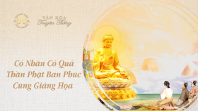 100525-VHTT-CÓ-NHÂN-CÓ-QUẢ