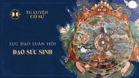 220724-TLCS-dao-suc-sinh-THUMB