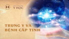 Thumb_TYVCBCT