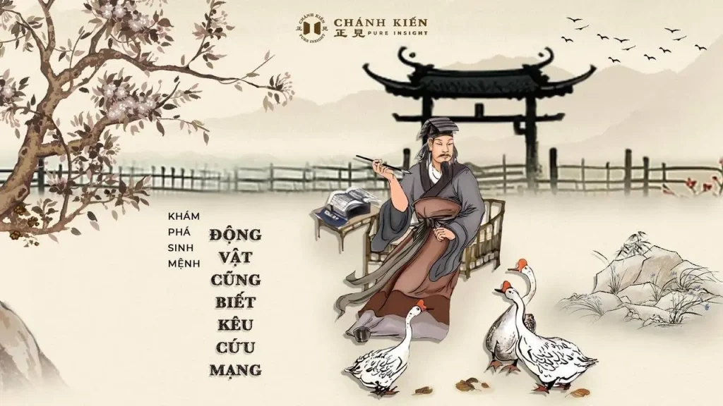 Động vật cũng biết kêu cứu mạng