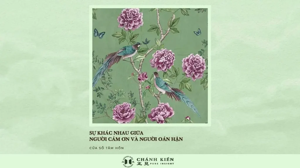 Sự khác nhau giữa người cảm ơn và người oán hận