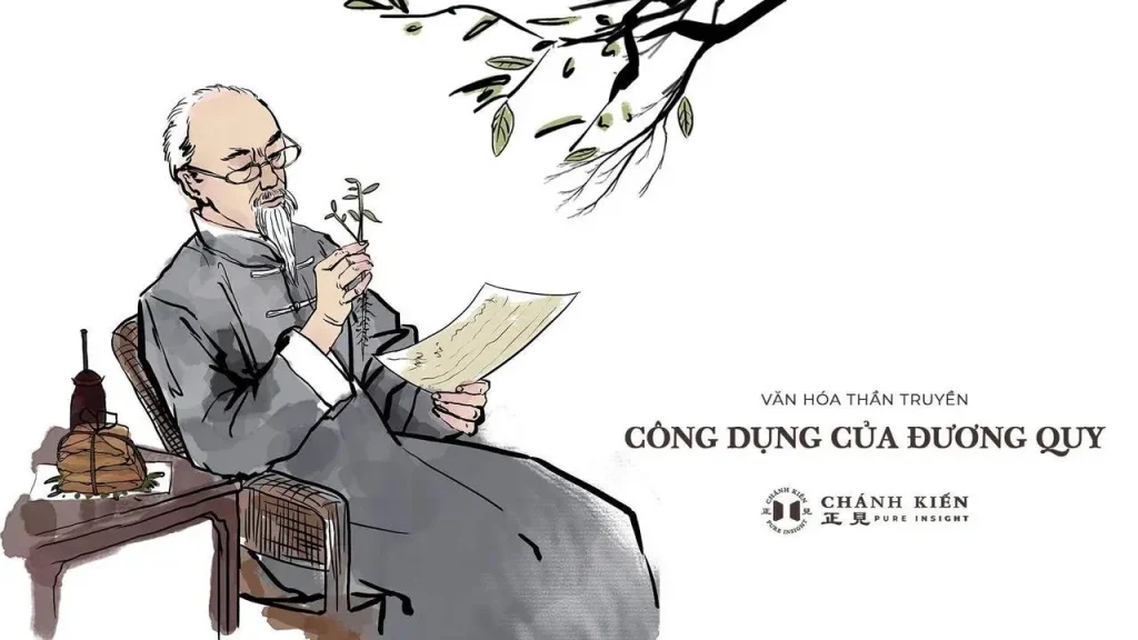 Công dụng của đương quy