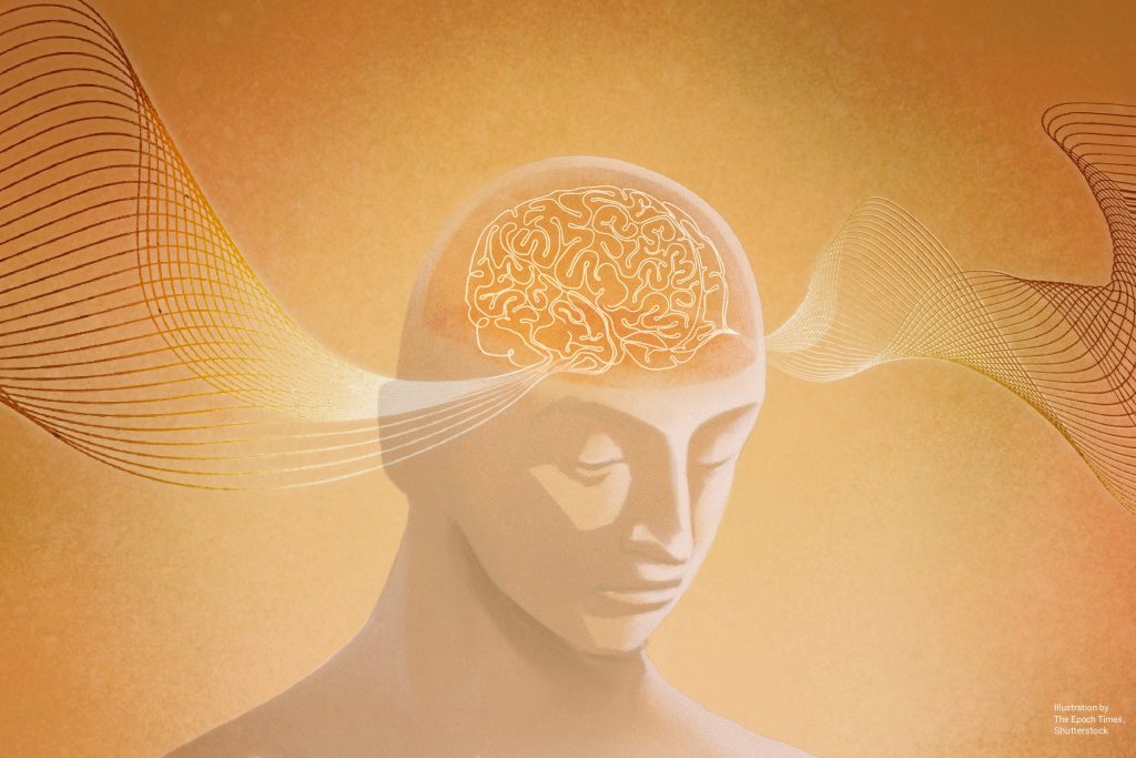 Loạt bài “Ý thức đến từ đâu?”: (Phần 1) Ý thức có thể tồn tại mà không cần não bộ không?