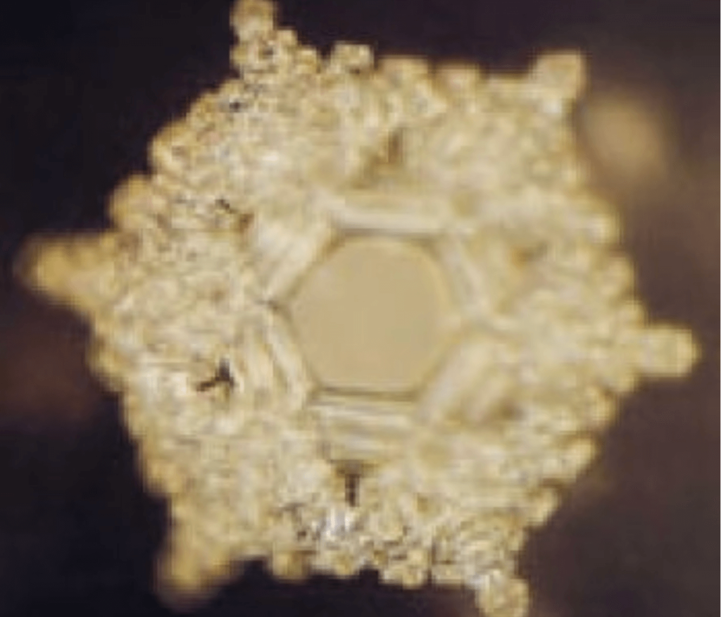 Nếu nước có trí nhớ, thì nó đang ghi nhớ điều gì?