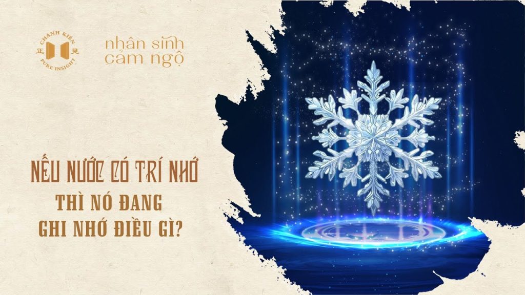 Nếu nước có trí nhớ, thì nó đang ghi nhớ điều gì? | Nhân sinh cảm ngộ