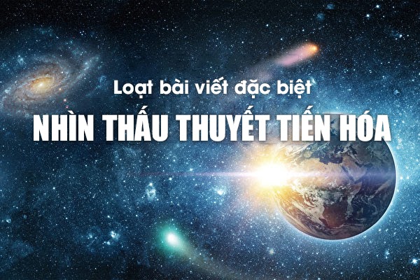 Nhìn thấu “Thuyết tiến hóa”: Lời mở đầu