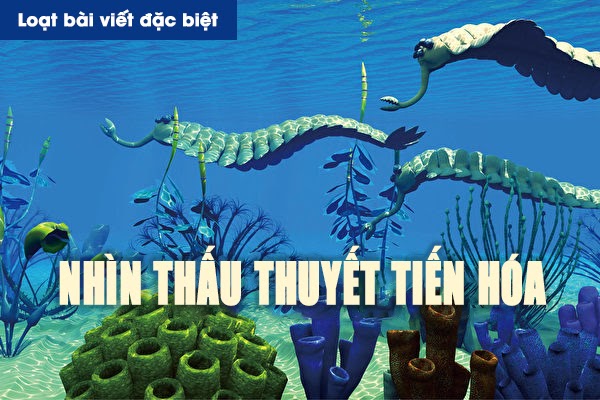 Nhìn thấu “Thuyết tiến hóa” (Chương 2): Phá bỏ suy nghĩ sai lầm kinh điển trong thuyết tiến hóa (Phần 1)