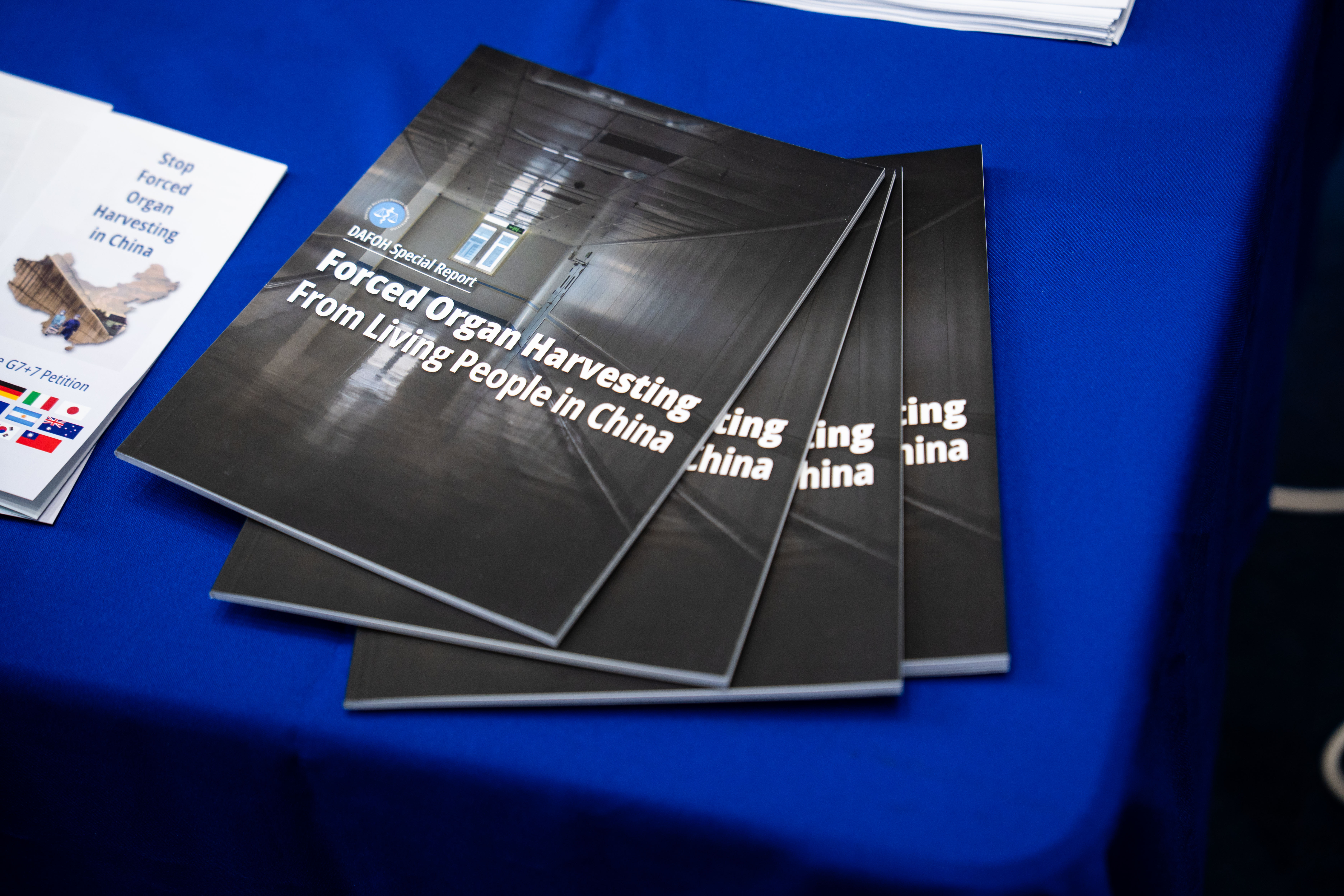 Nửa triệu người đã ký vào bản kiến nghị này — nội dung là gì?