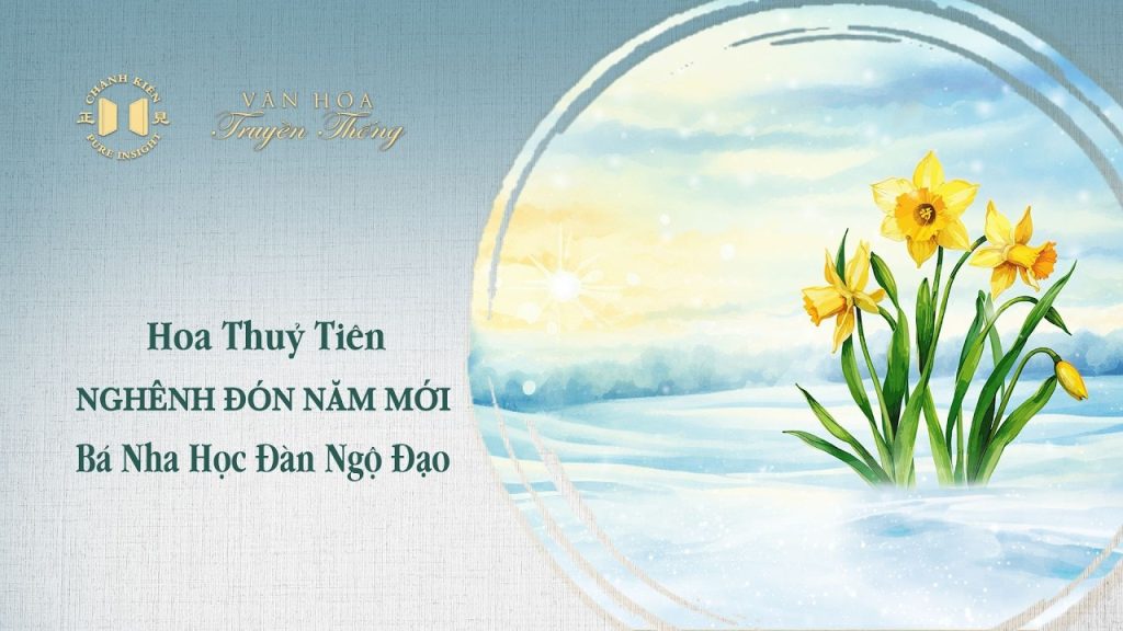 Hoa thủy tiên nghênh đón năm mới, Bá Nha học đàn ngộ đạo | Văn hóa truyền thống