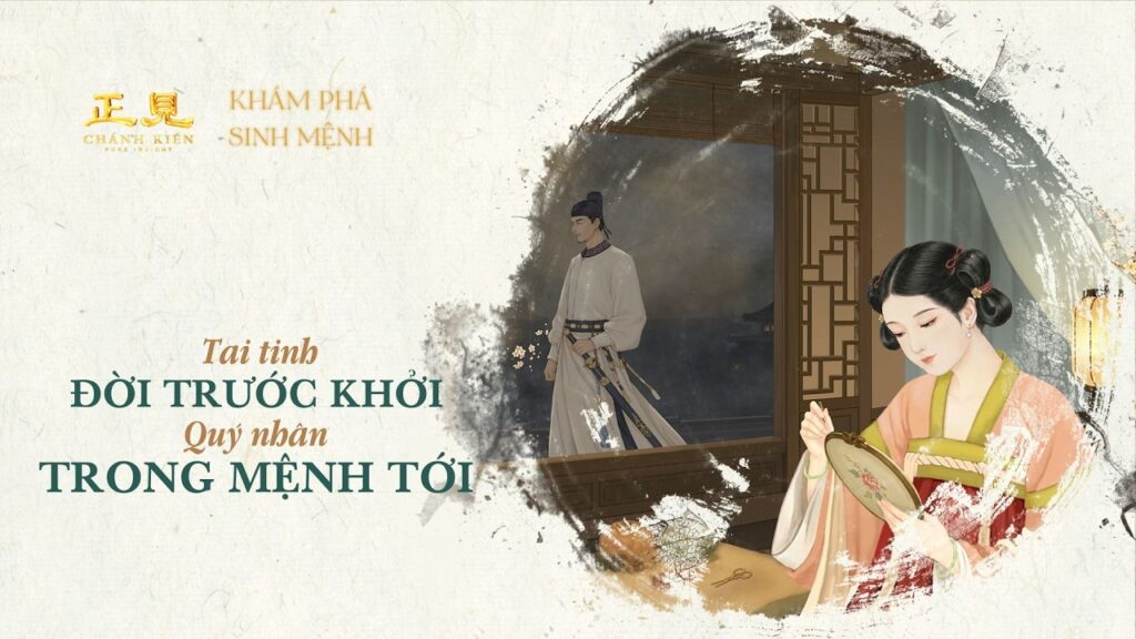 Tai tinh đời trước khởi, quý nhân trong mệnh tới | Khám phá sinh mệnh